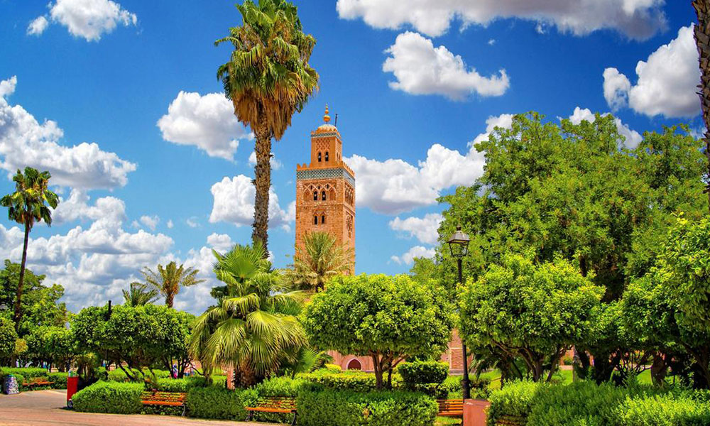 Our tours